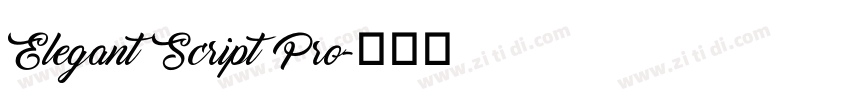 Elegant Script Pro字体转换
